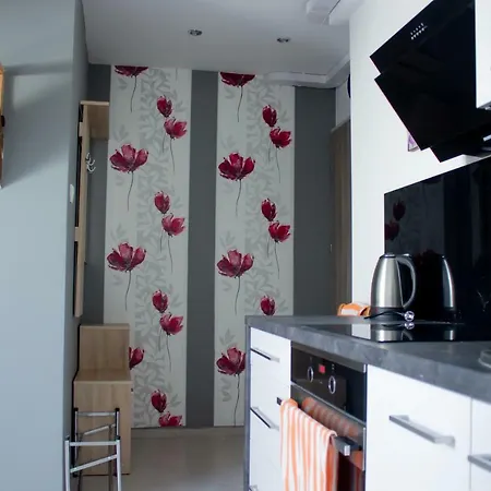 Blisko Dworca Pkp,pks * Cieszyn (Silesia)